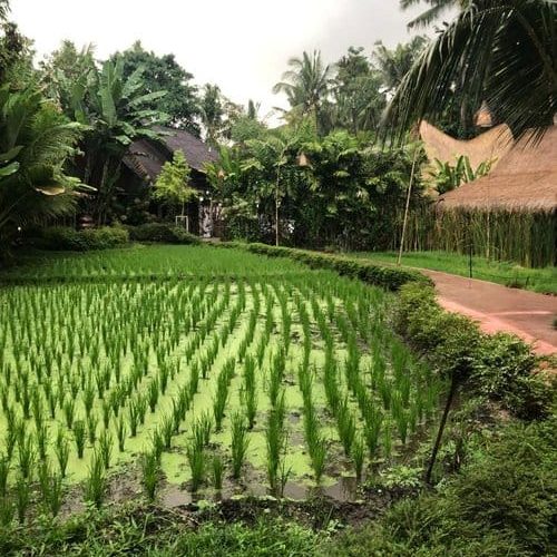 8c3b8ab1-3bd9-4356-9c5f-4f0a690b80d1