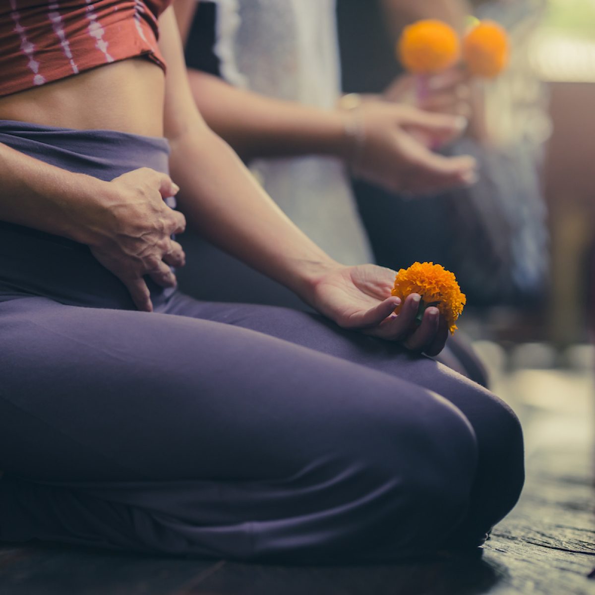 Tara Judelle Yoga Barn Oct 2025-7545