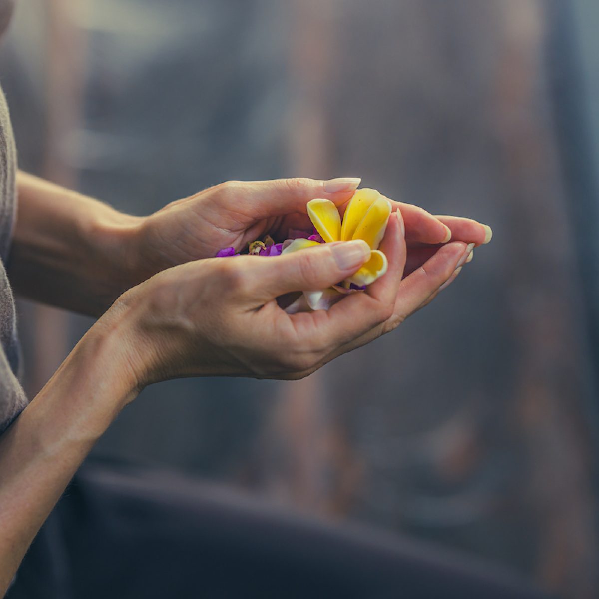 Tara Judelle Yoga Barn Oct 2025-7590